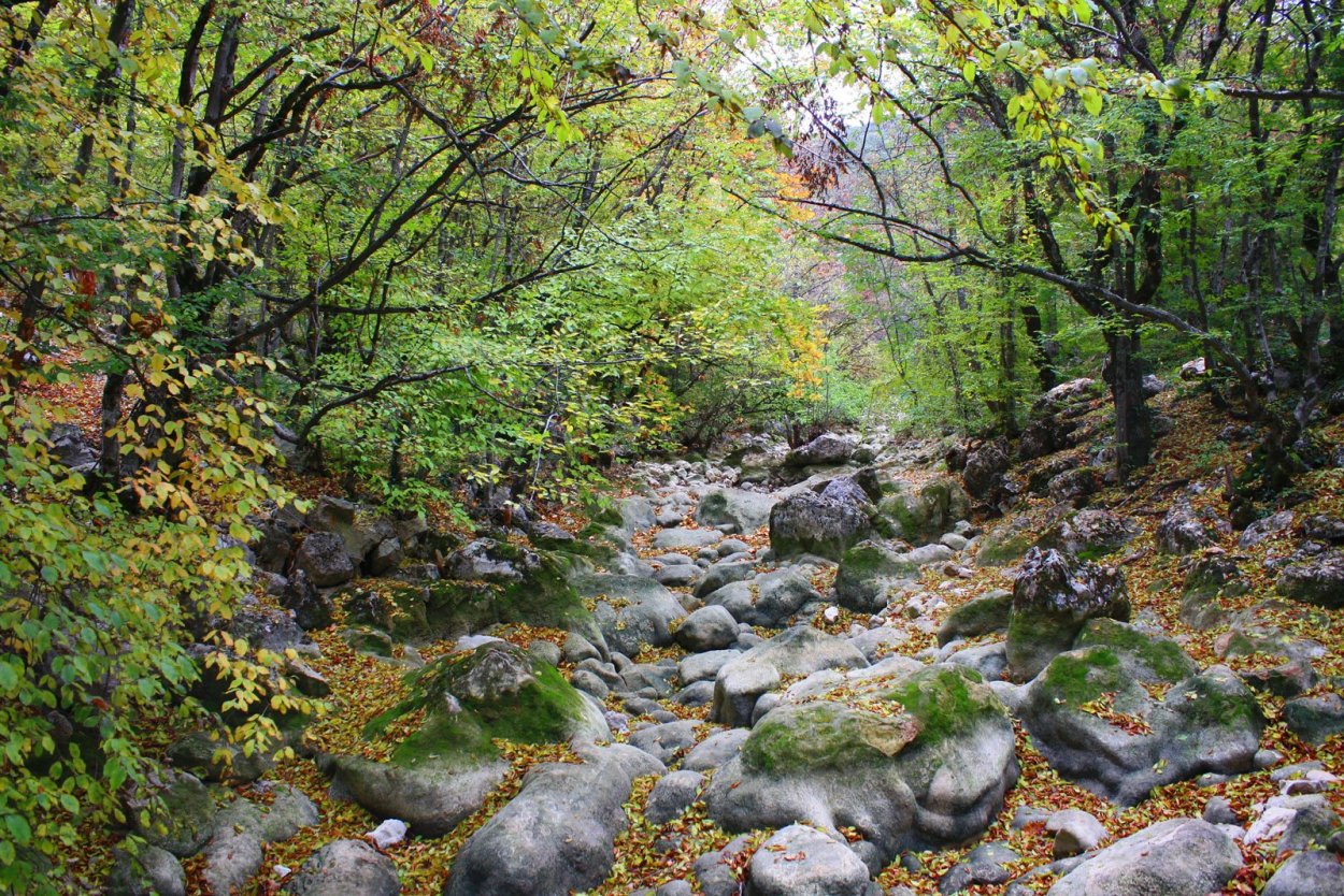 Севастополь Байдарская Долина маки 2022 год