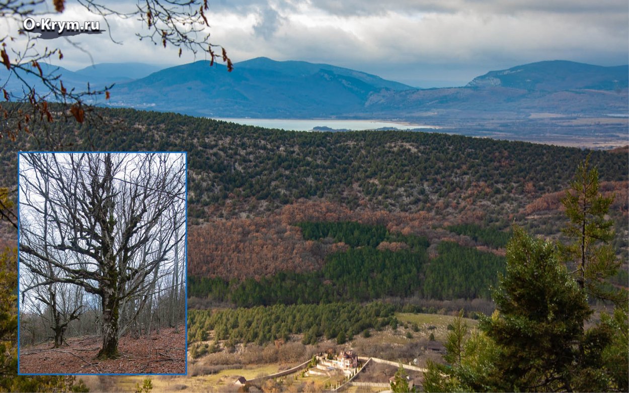 Цветущая Байдарская Долина