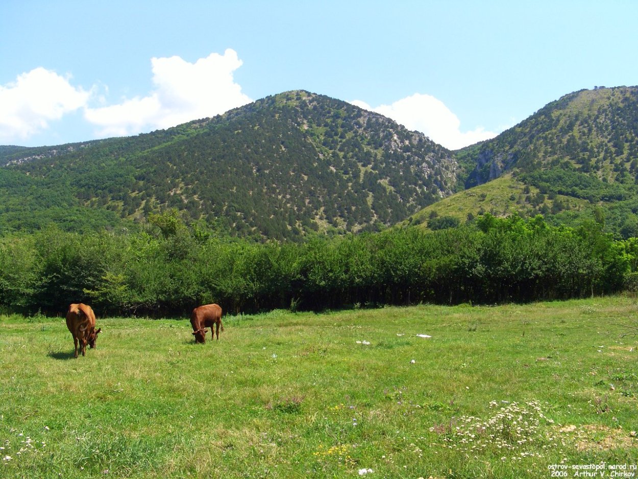 Урочище Аккурум на Алтае