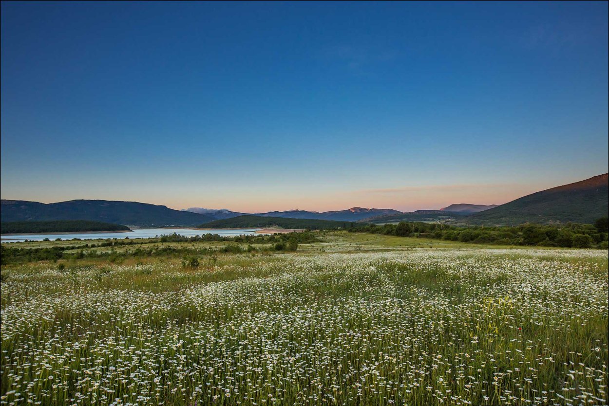 Ферганская Долина Мак