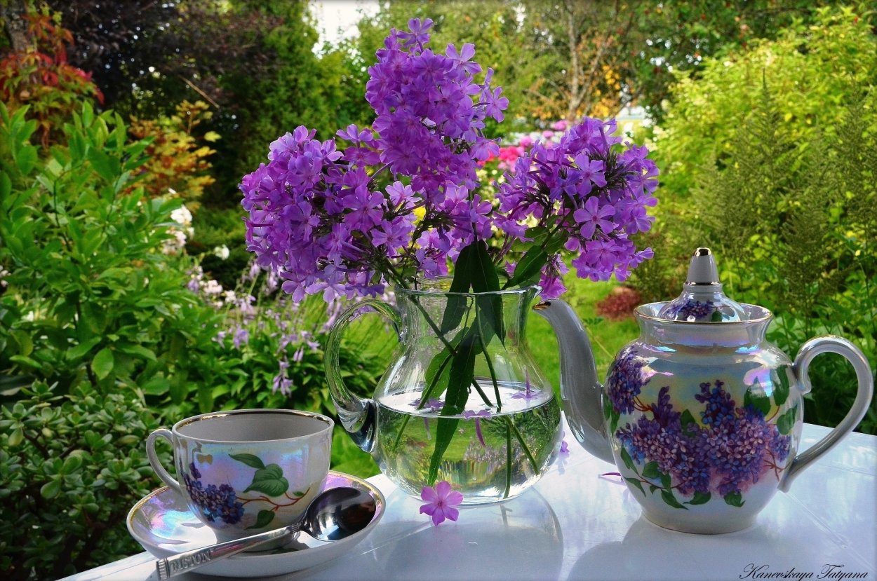 Как цветет мята