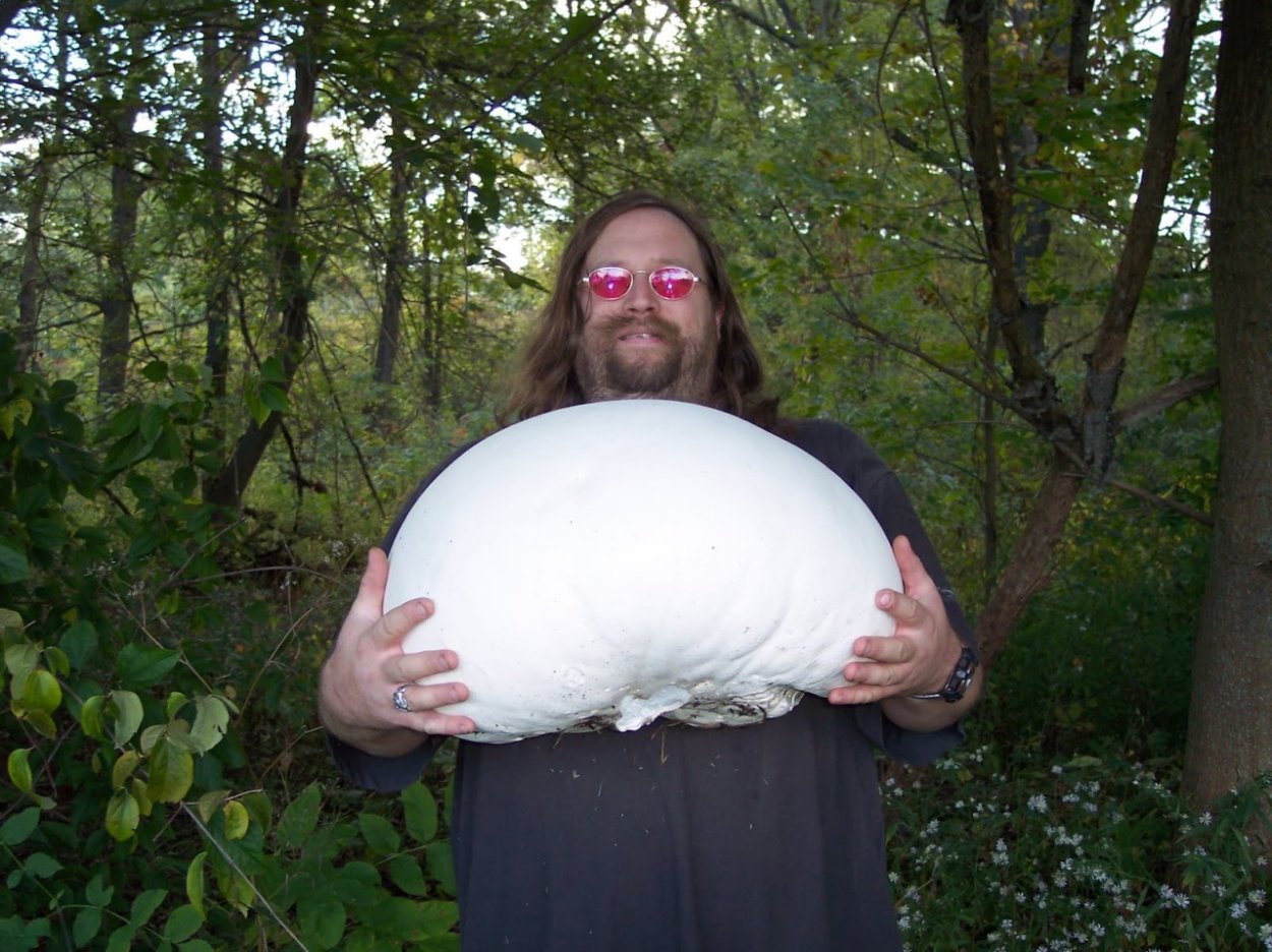 Дмитрий Тихомиров грибник без банданы