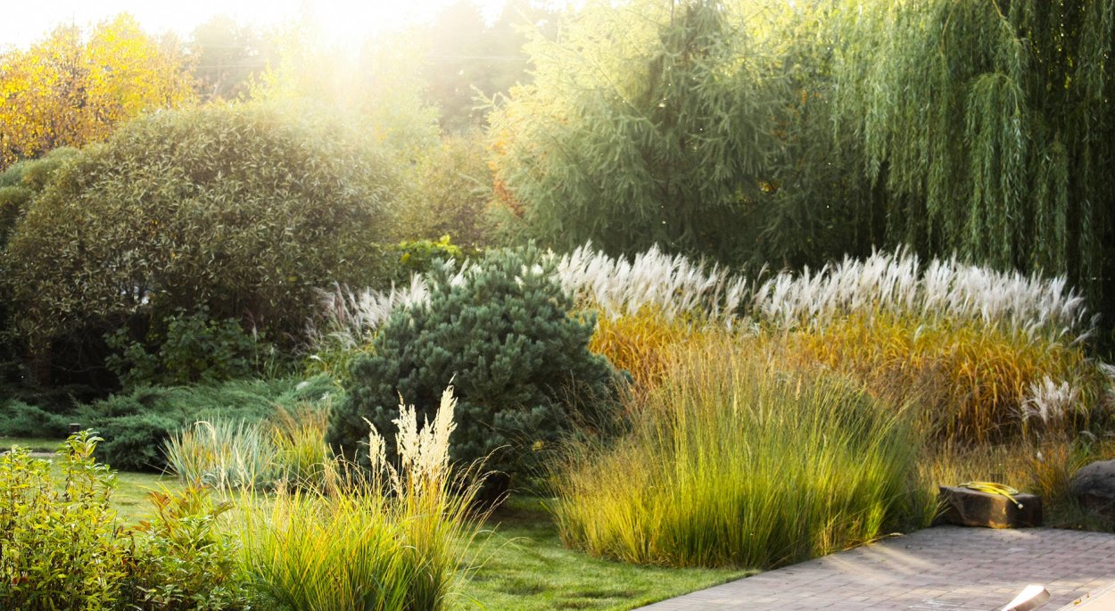 Пит Удольф злаковые сады