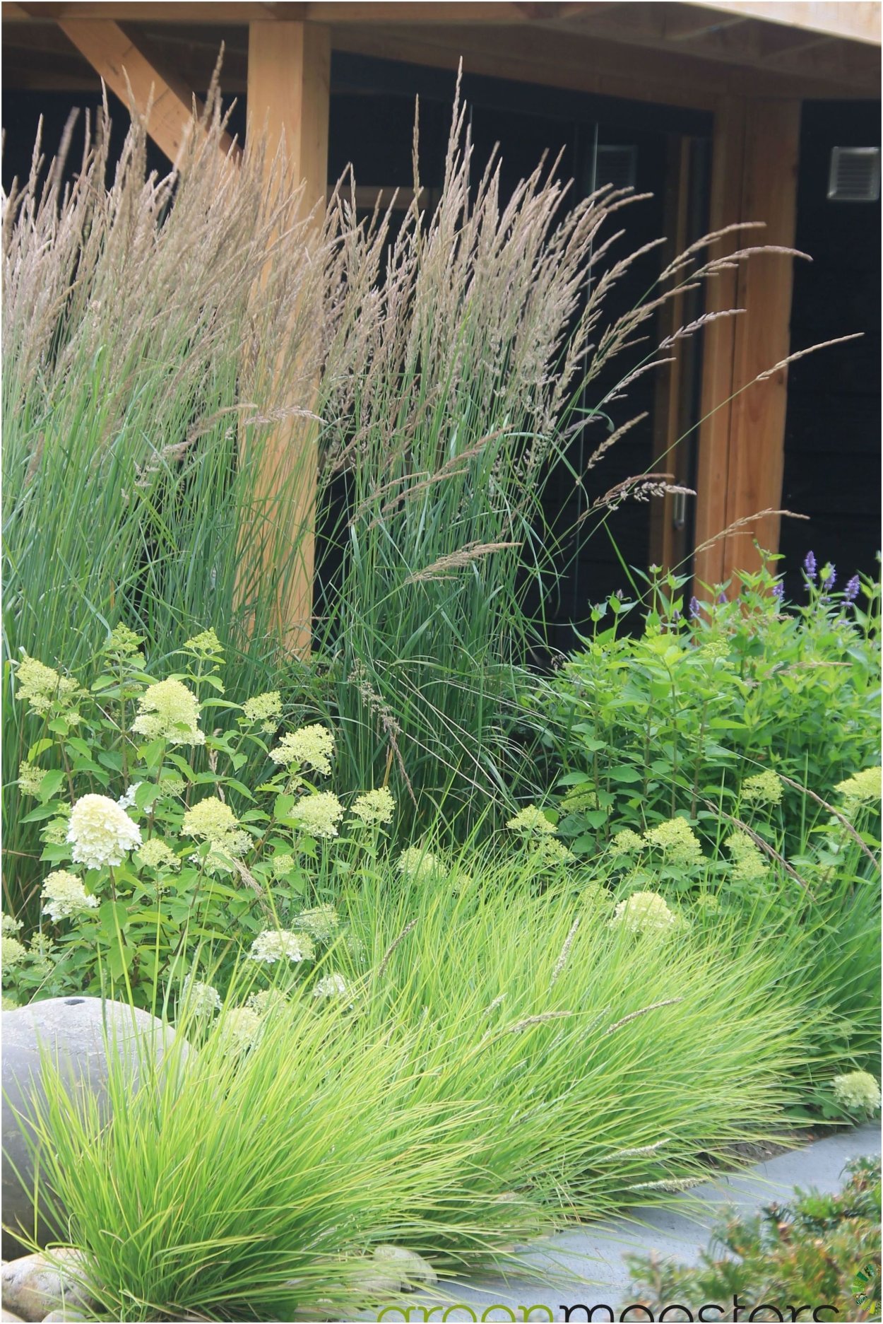 Миксбордер со злаками