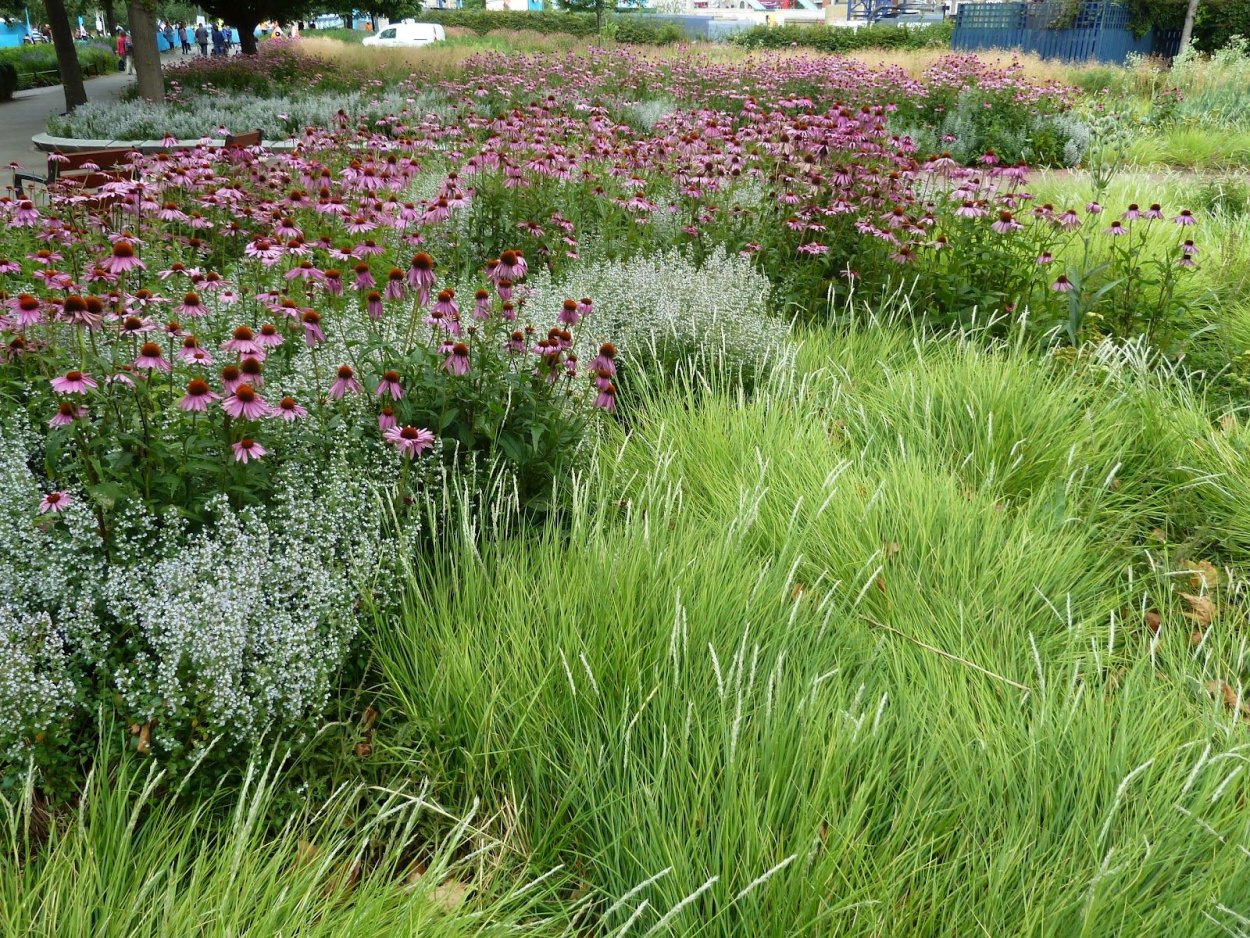 Пит Удольф ландшафтный дизайнер