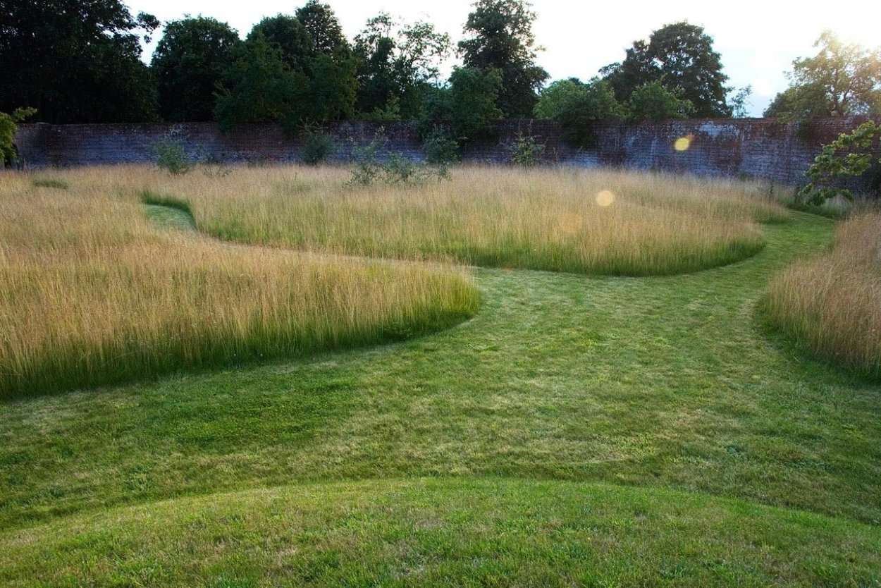 Пеннисетум Hameln