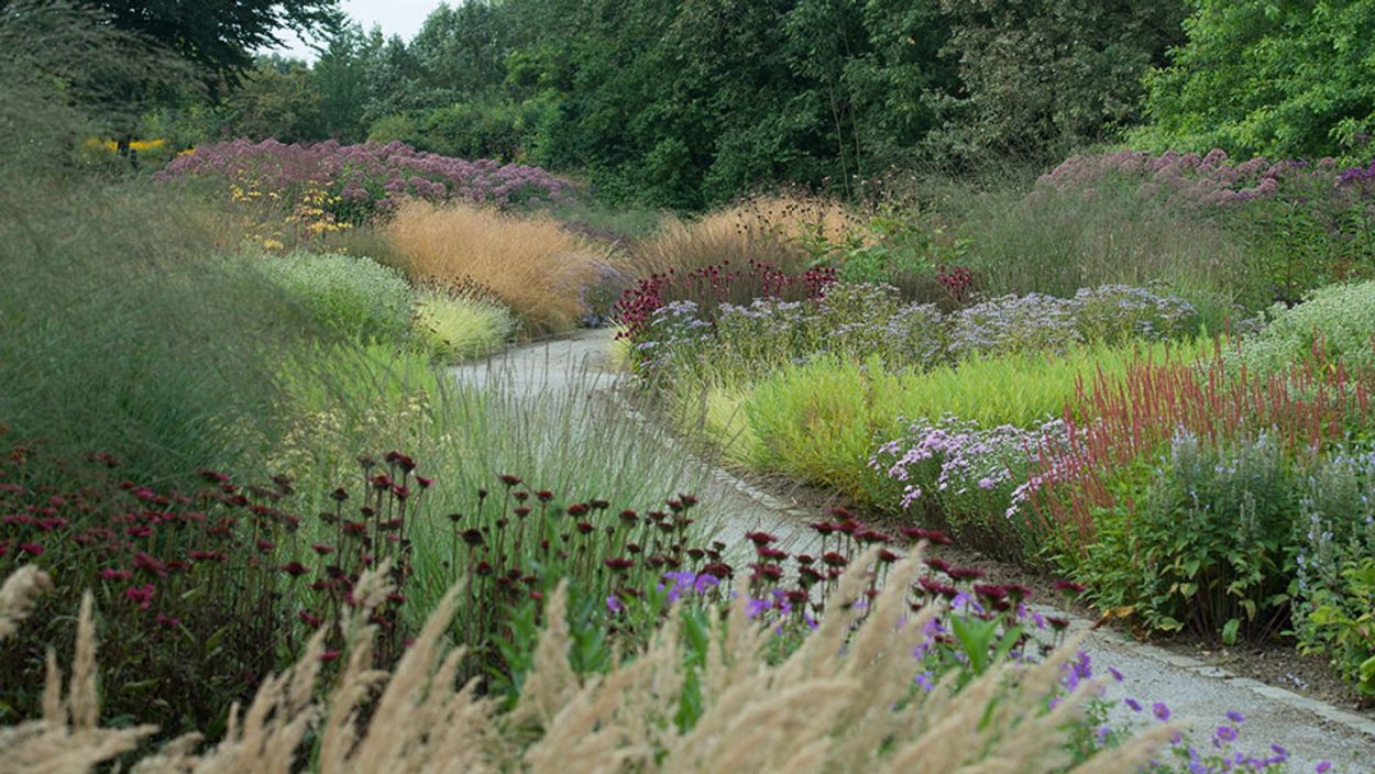 Геопластика газона