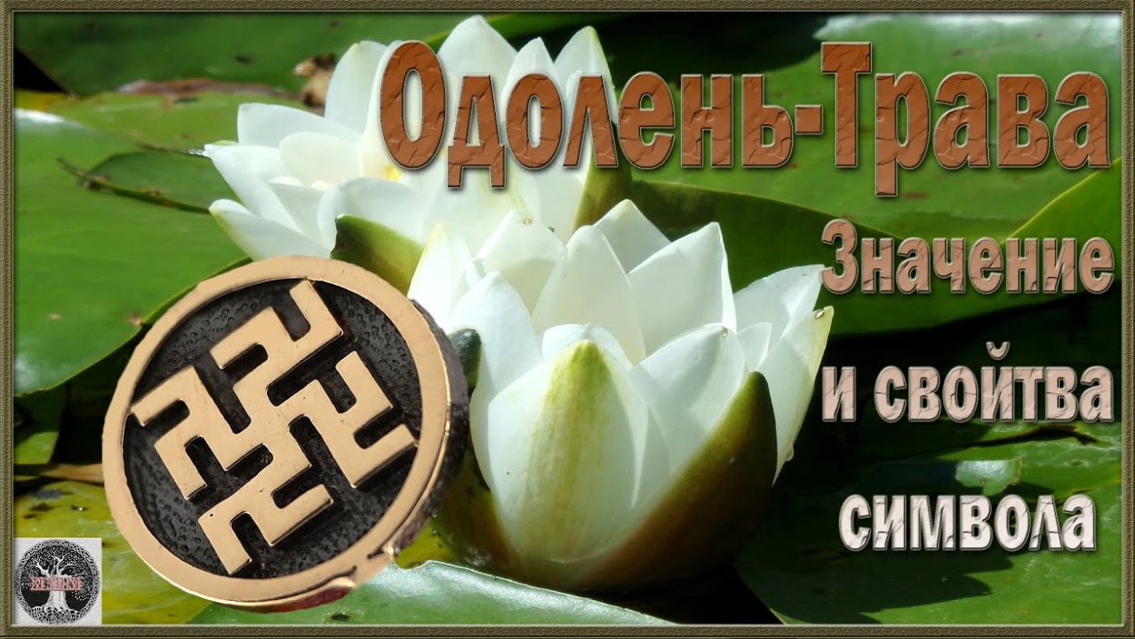 Кольцо папоротник серебро