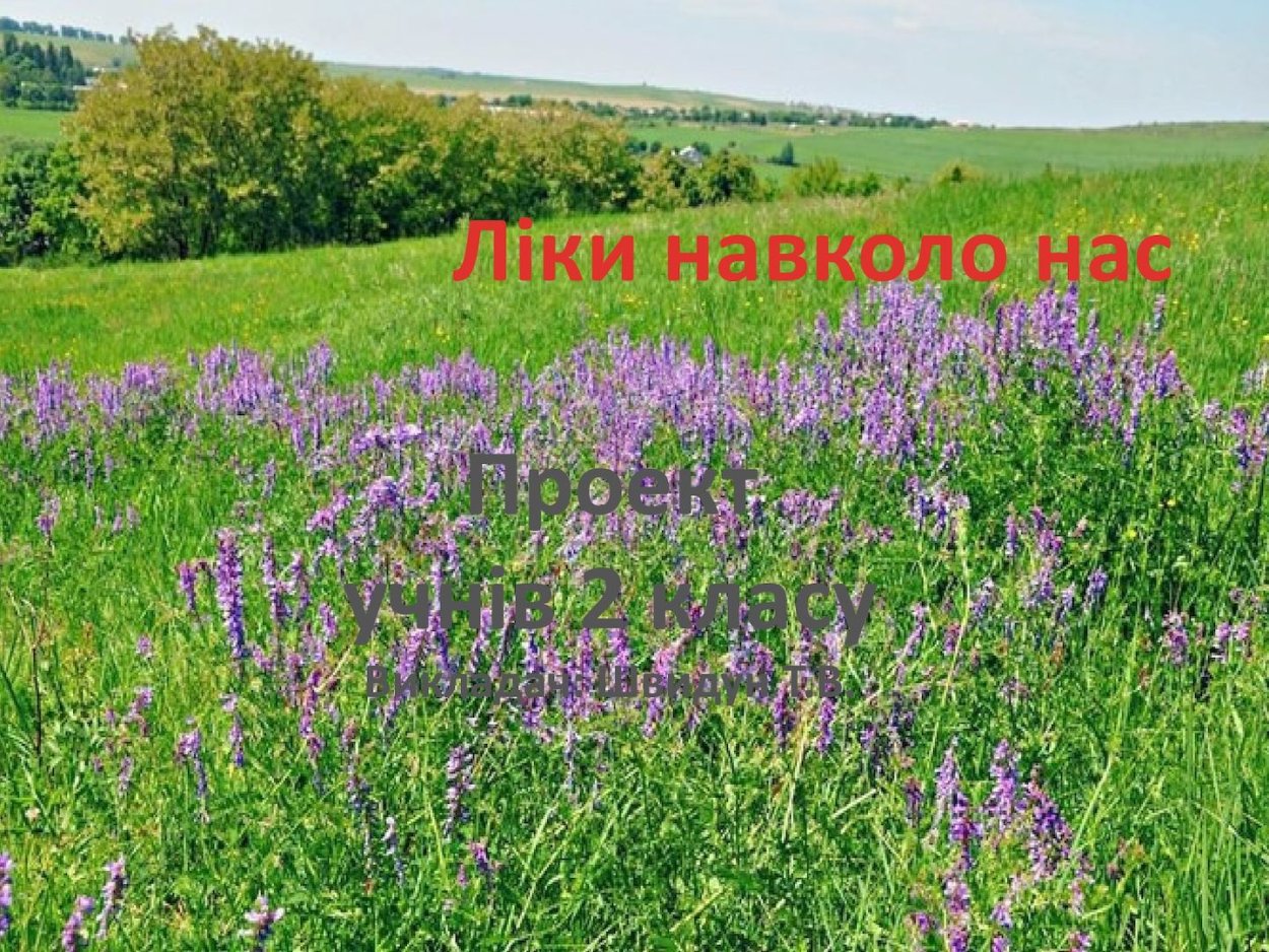 Съедобные дикорастущие травы Кавказа