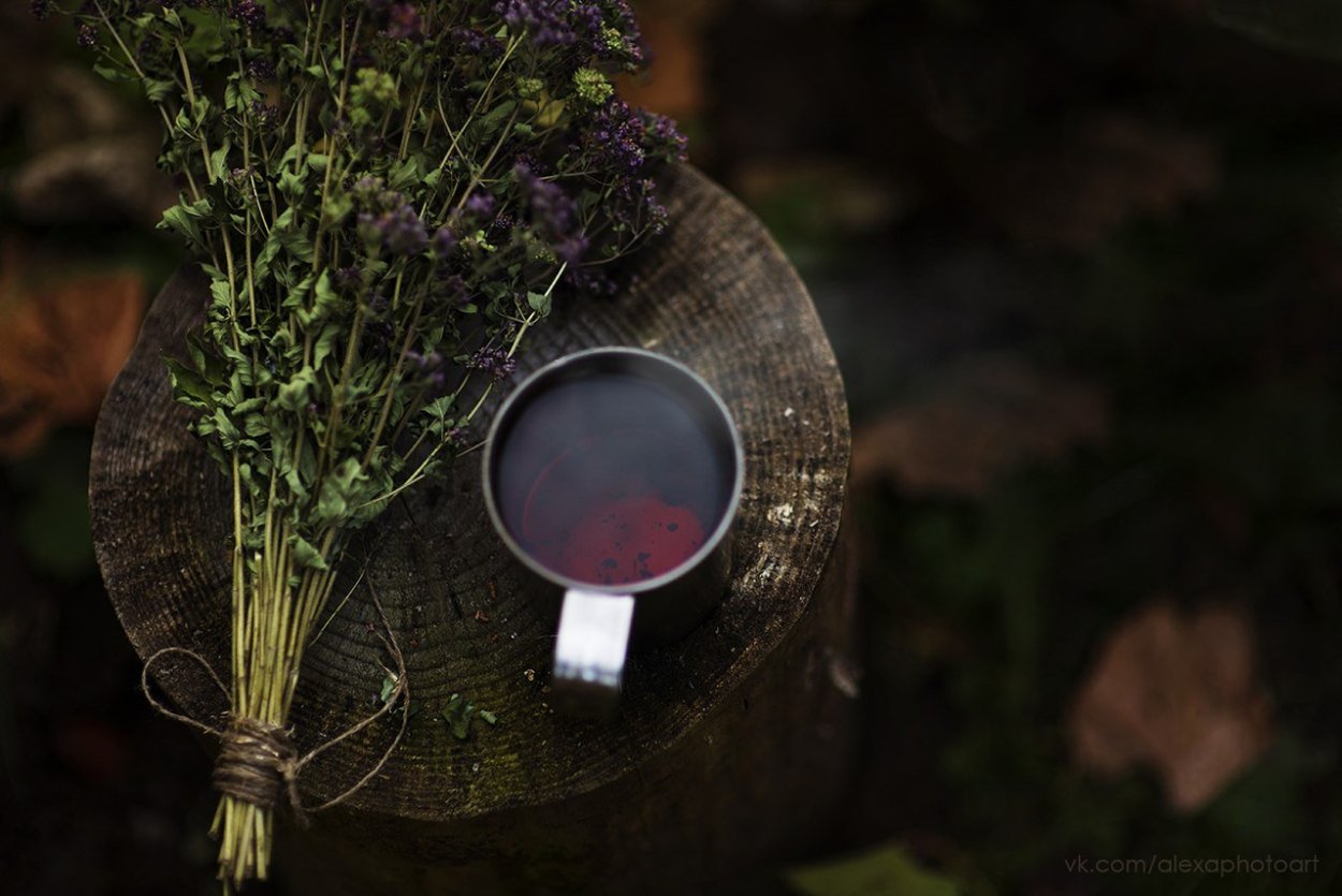 Колдовские травы