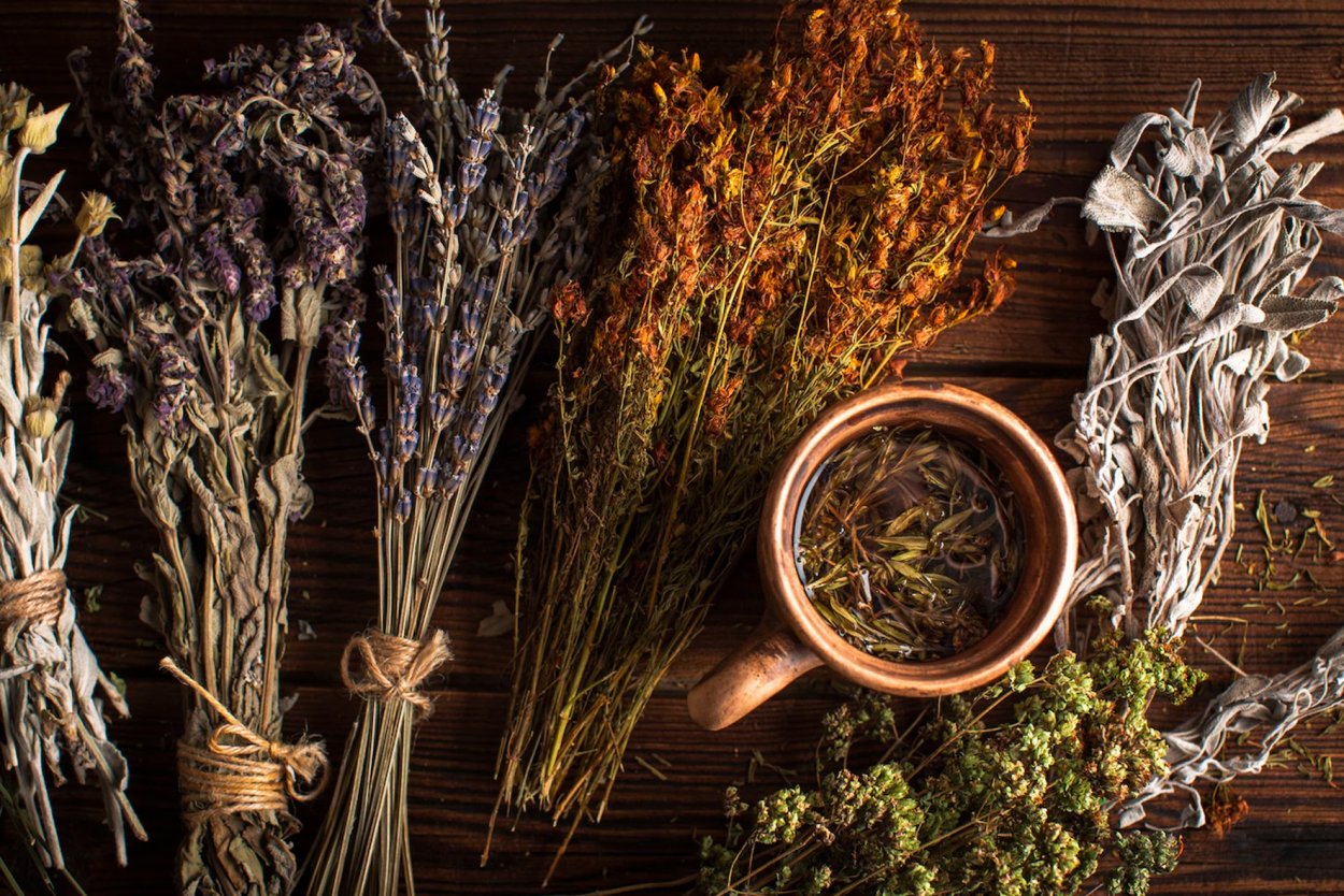 Колдовские травы