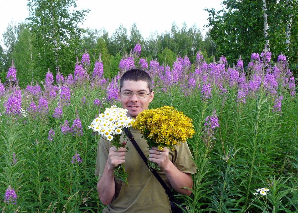 Лесные цветы Урала