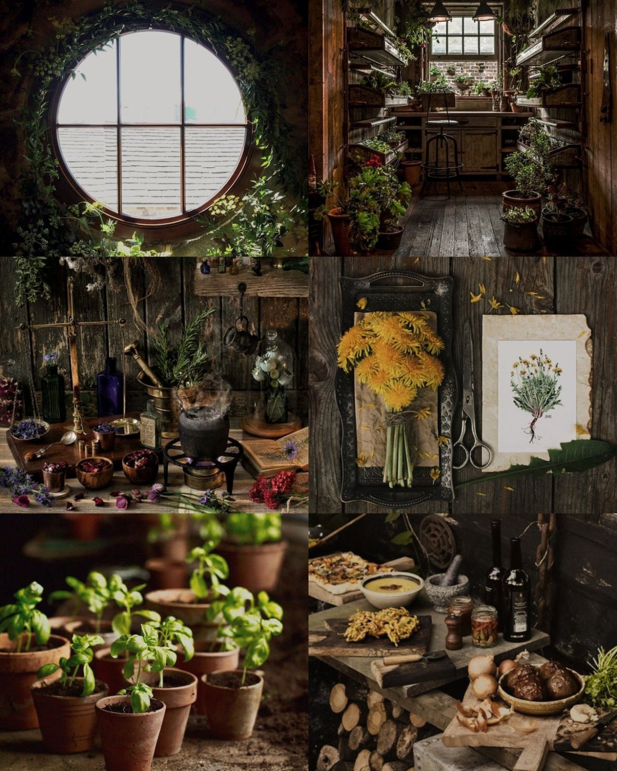 Травы магия Эстетика