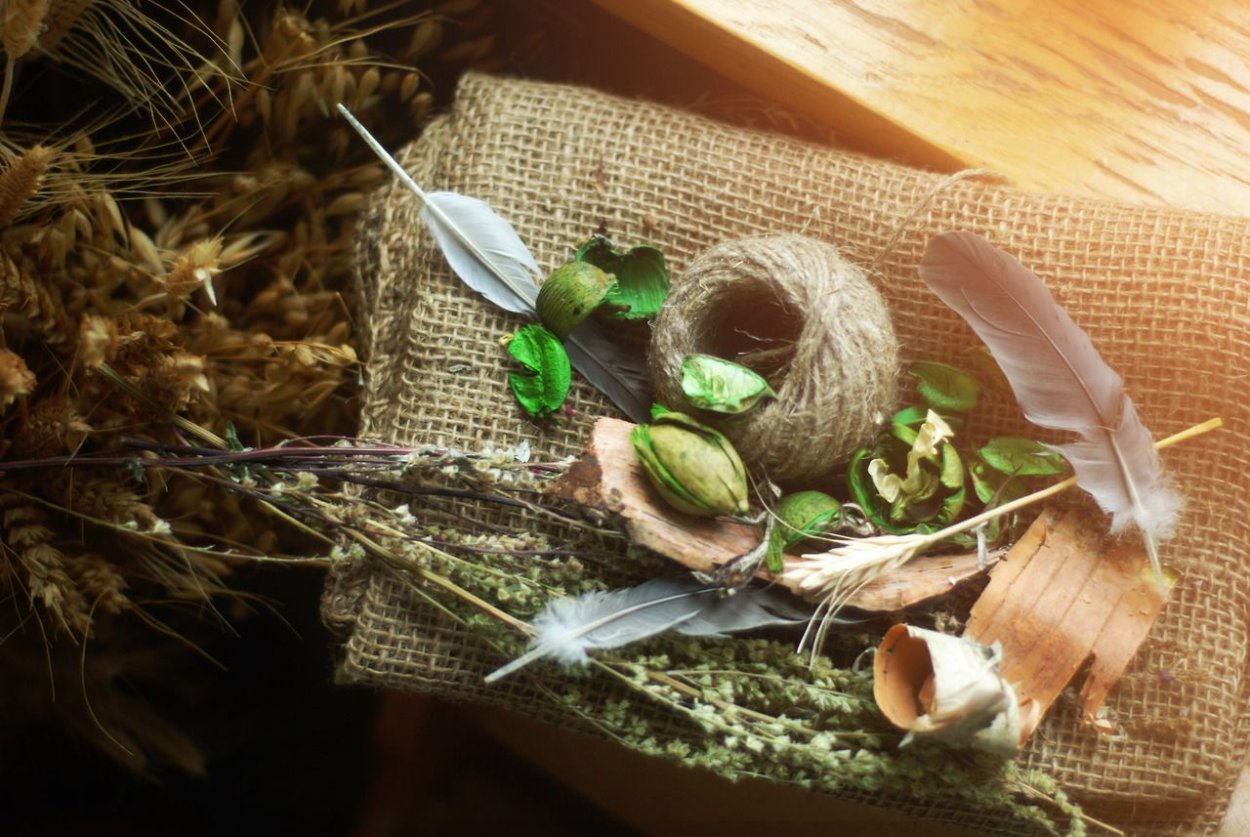 Экстракты лекарственных растений