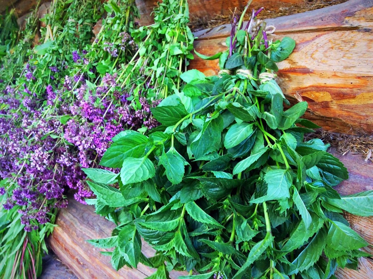 Розмарин эстрагон Любисток