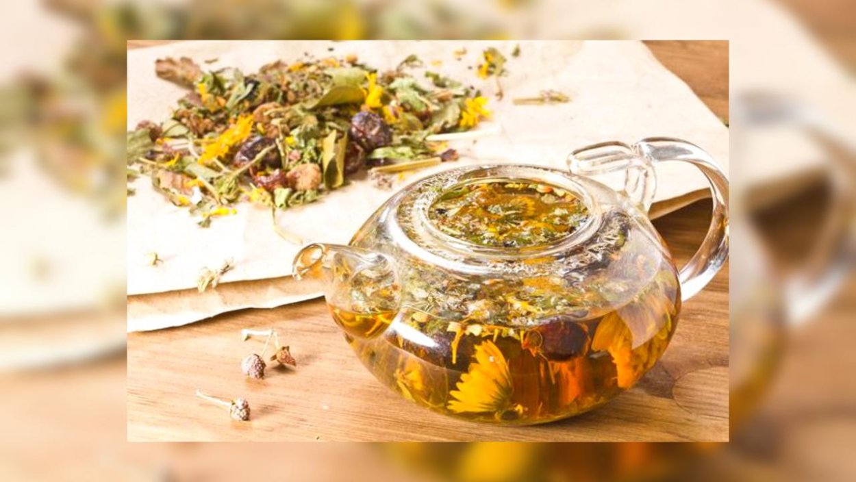 Анри Леклерк фитотерапия