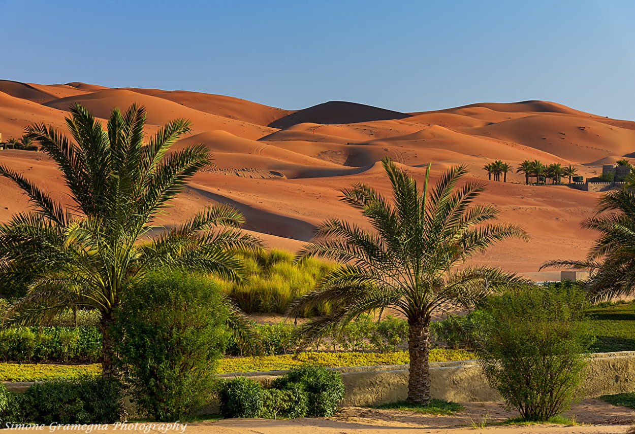 Флористика Райский сад,сады Семирамиды