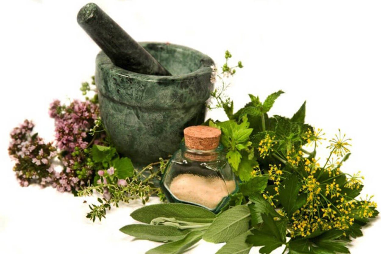 Лекарственные травы