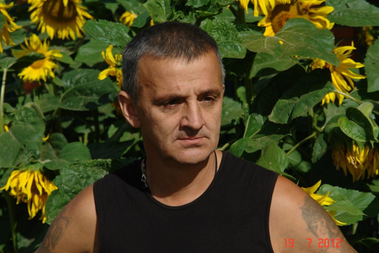 Грибы свинушки съедобные и несъедобные