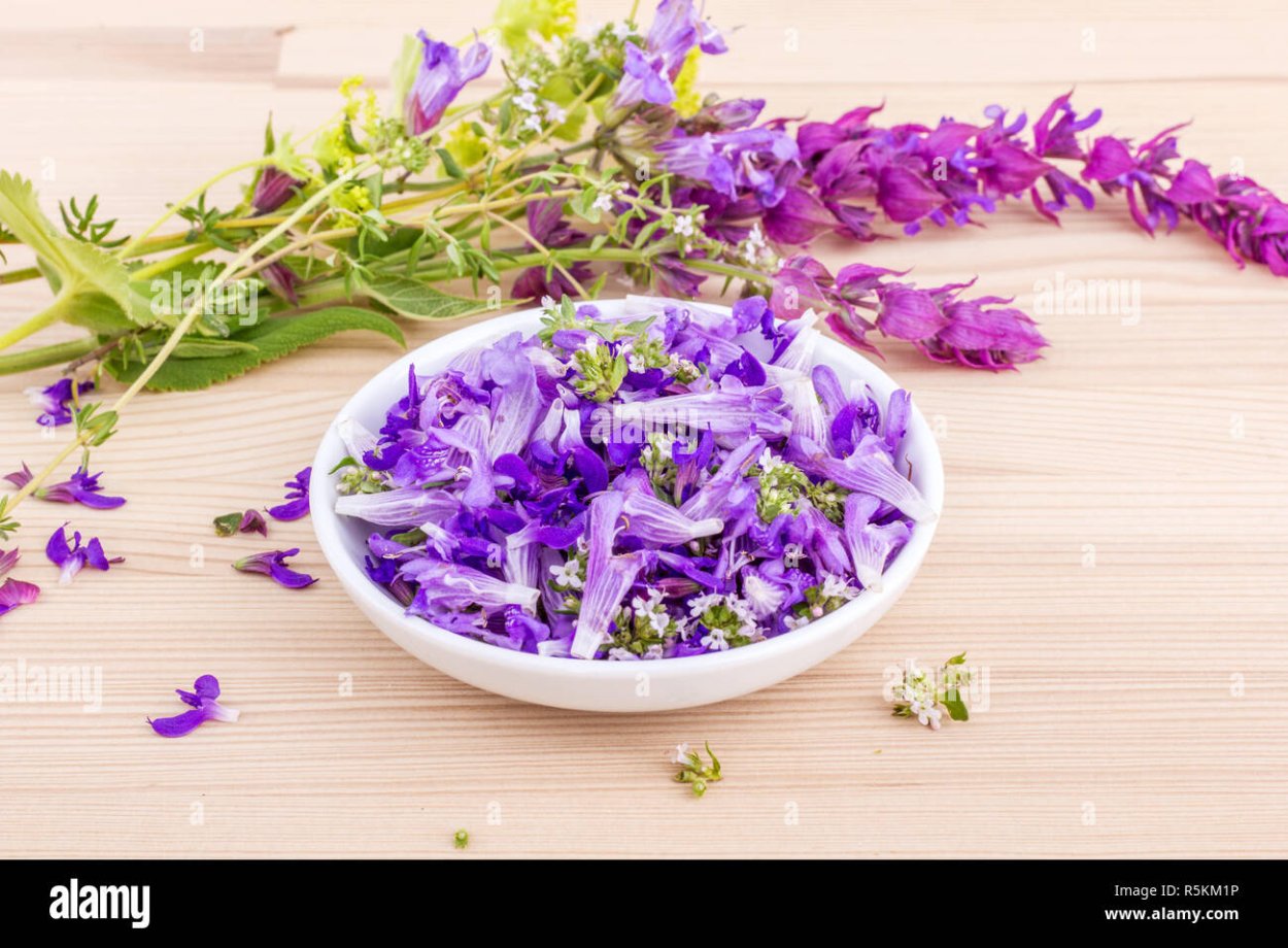 Съедобная зелень