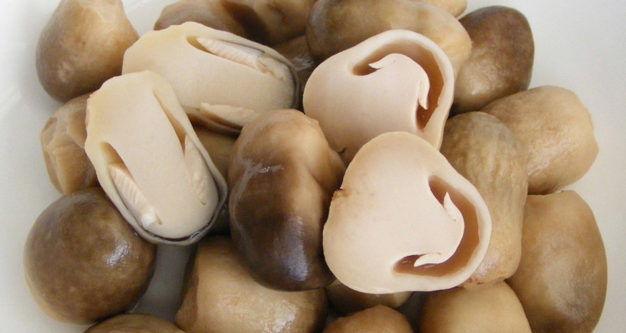 Грибы соломенные консервированные