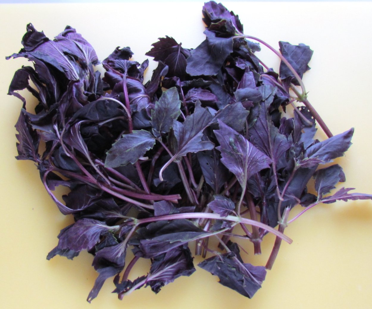 Базилик фиолетовый зелень