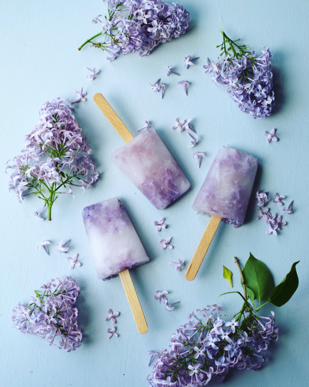 Жимолость Парпл мист