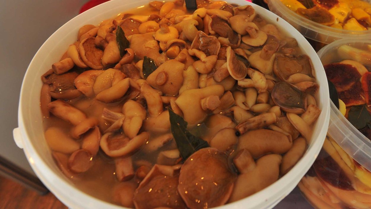 Корейские грибы