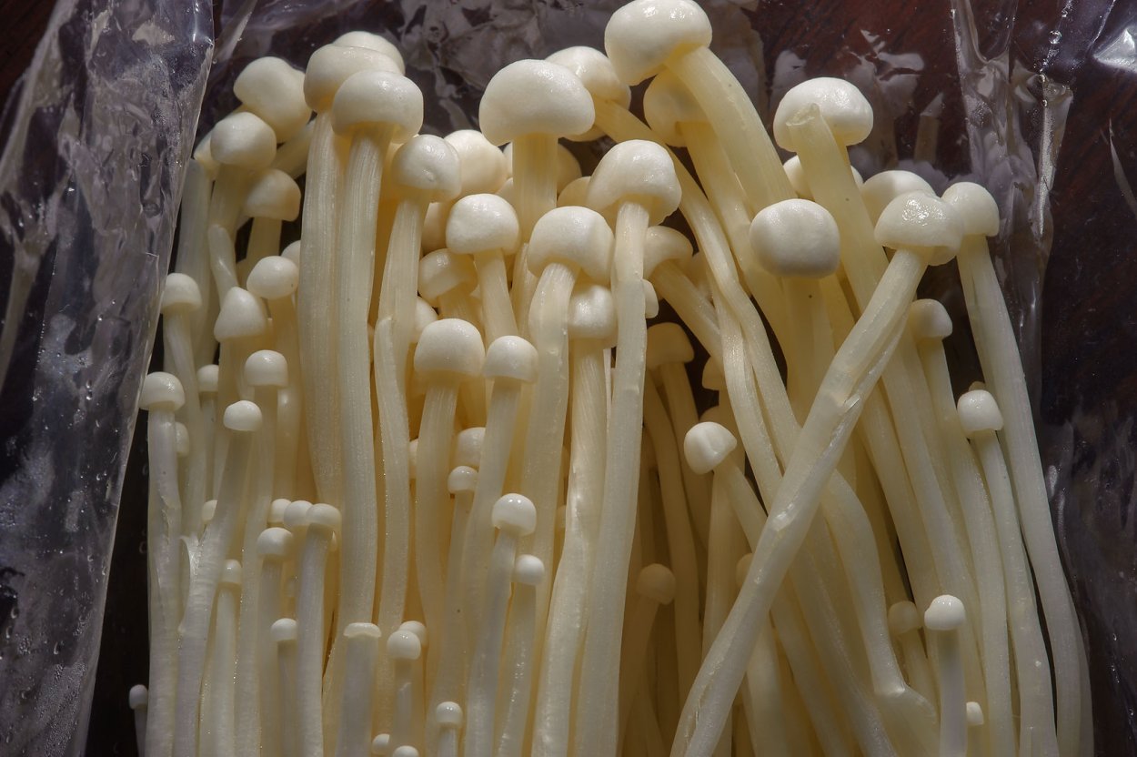 Японские грибы Эноки