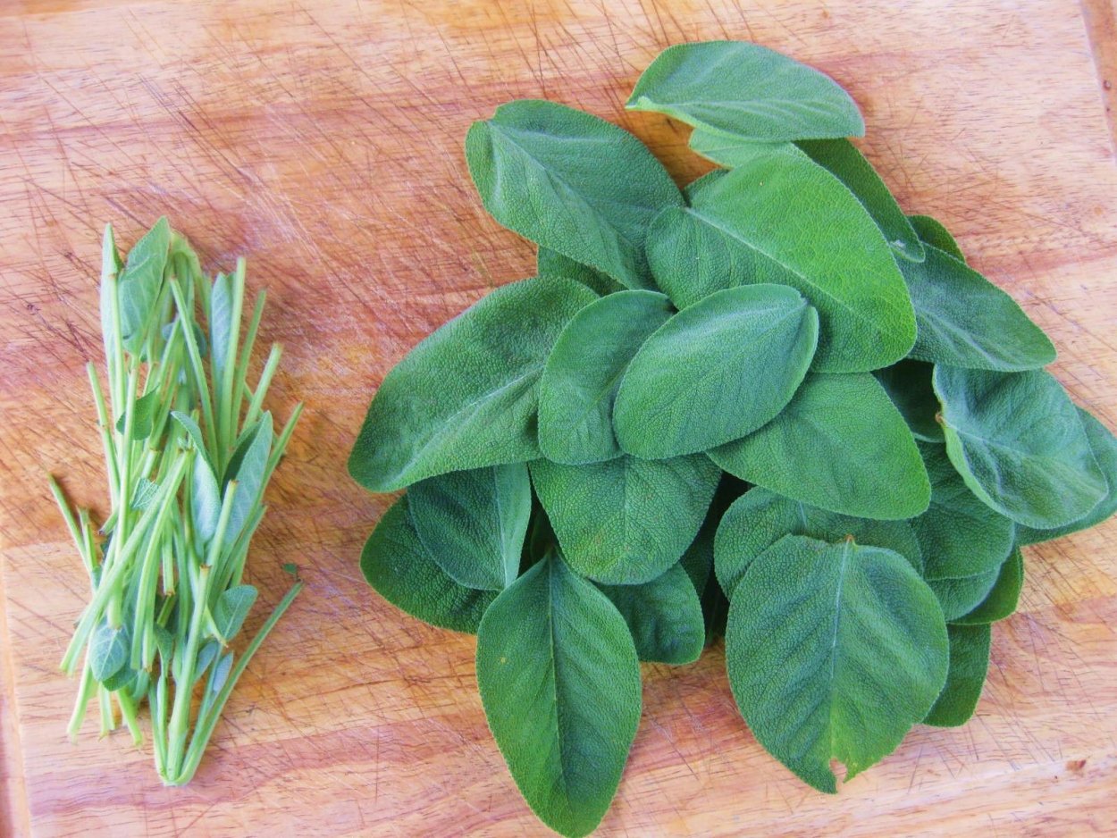 Трава для засолки