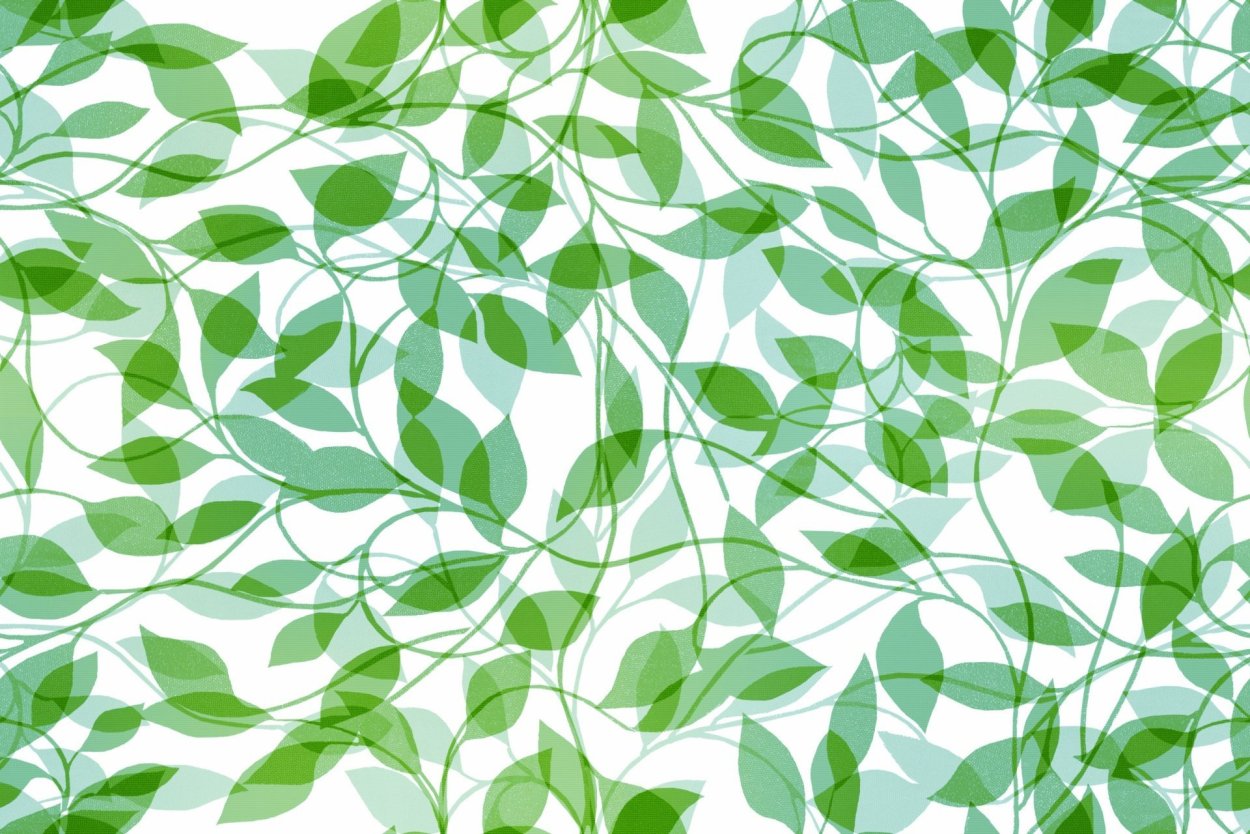 Орнамент листья