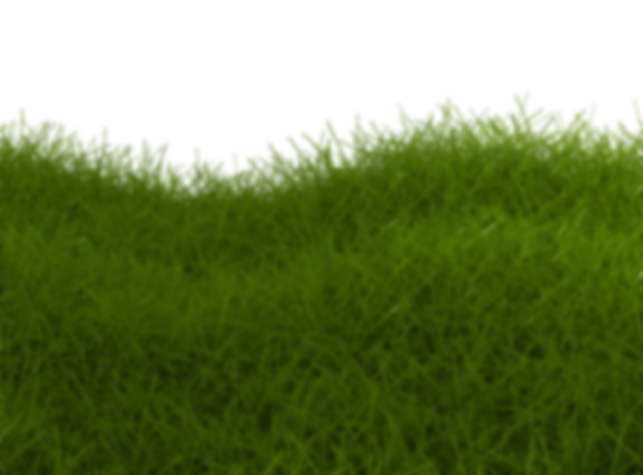 Газон трава сбоку