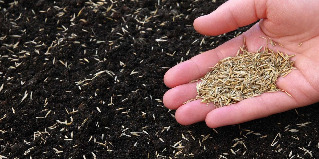 Травяной сенаж