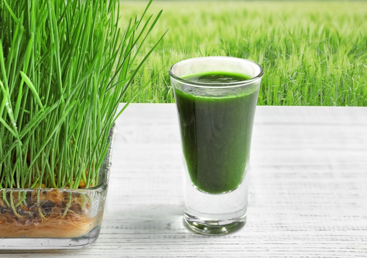 Сок пшеницы Витграсс