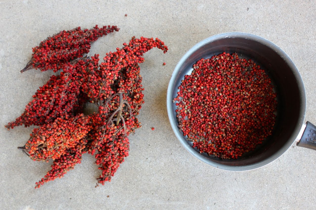 Сумак специя