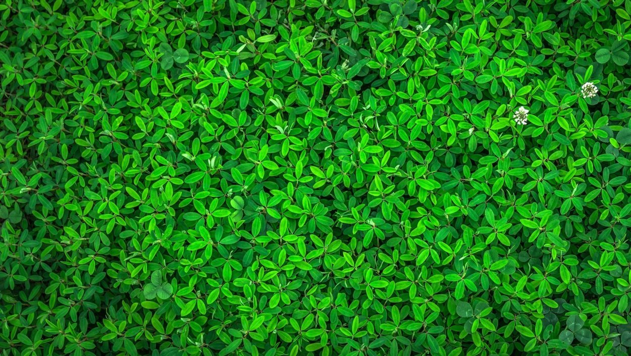 Текстура трава архикад