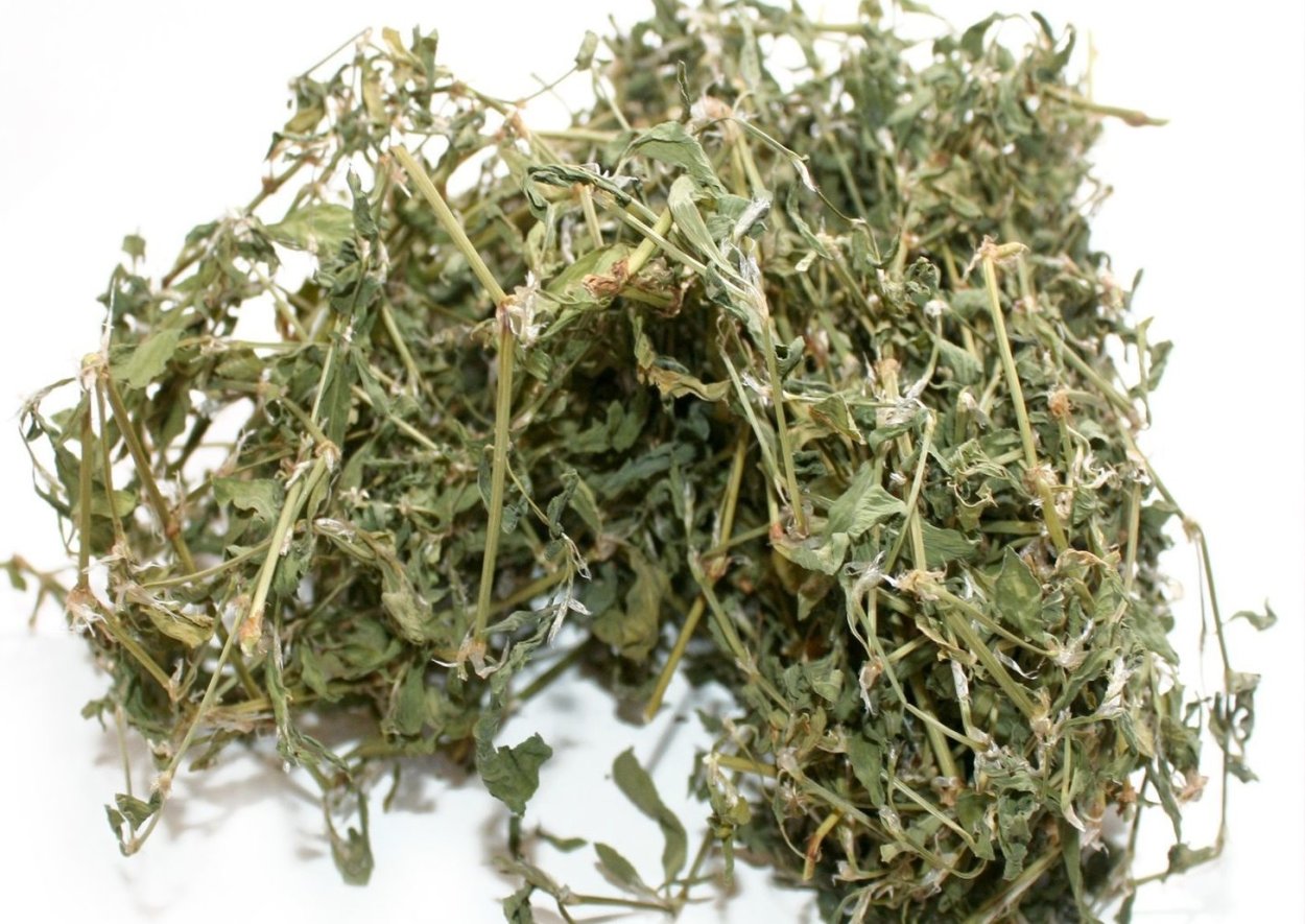 Эстетика зелёного цвета