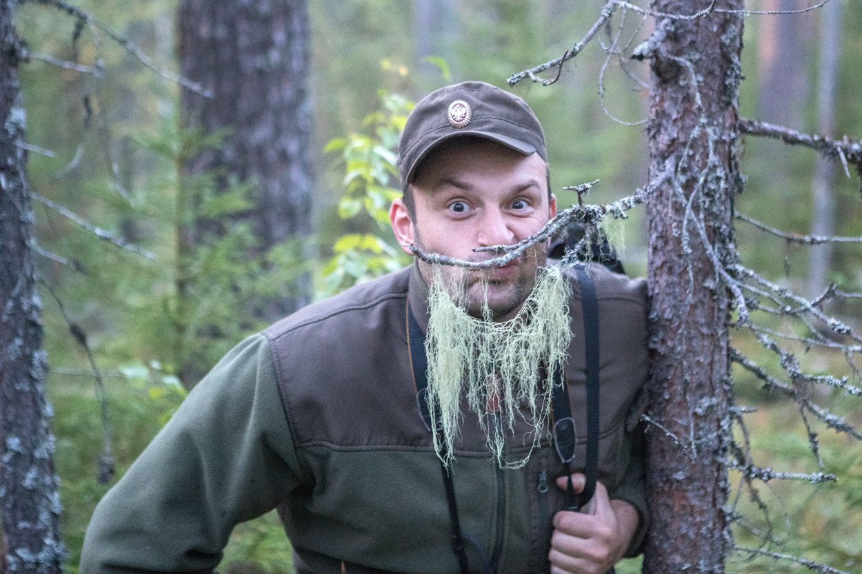 Уснея почти Цветущая Usnea subfloridana Stirt.