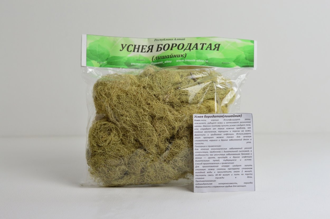 Уснея бородатая фото и описание