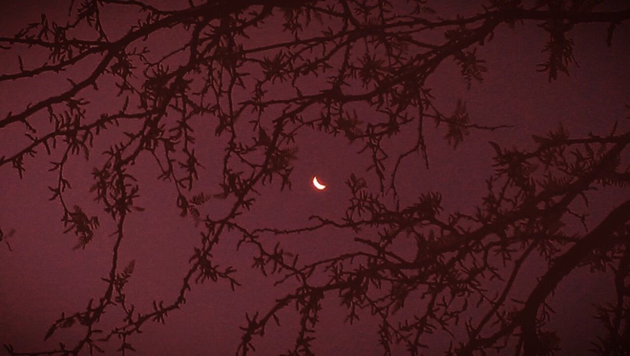 Светло бордовый