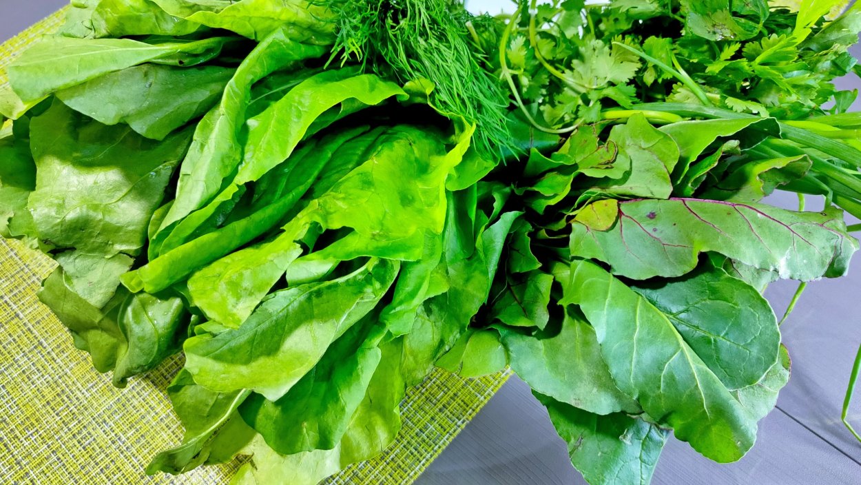 Котем армянская зелень