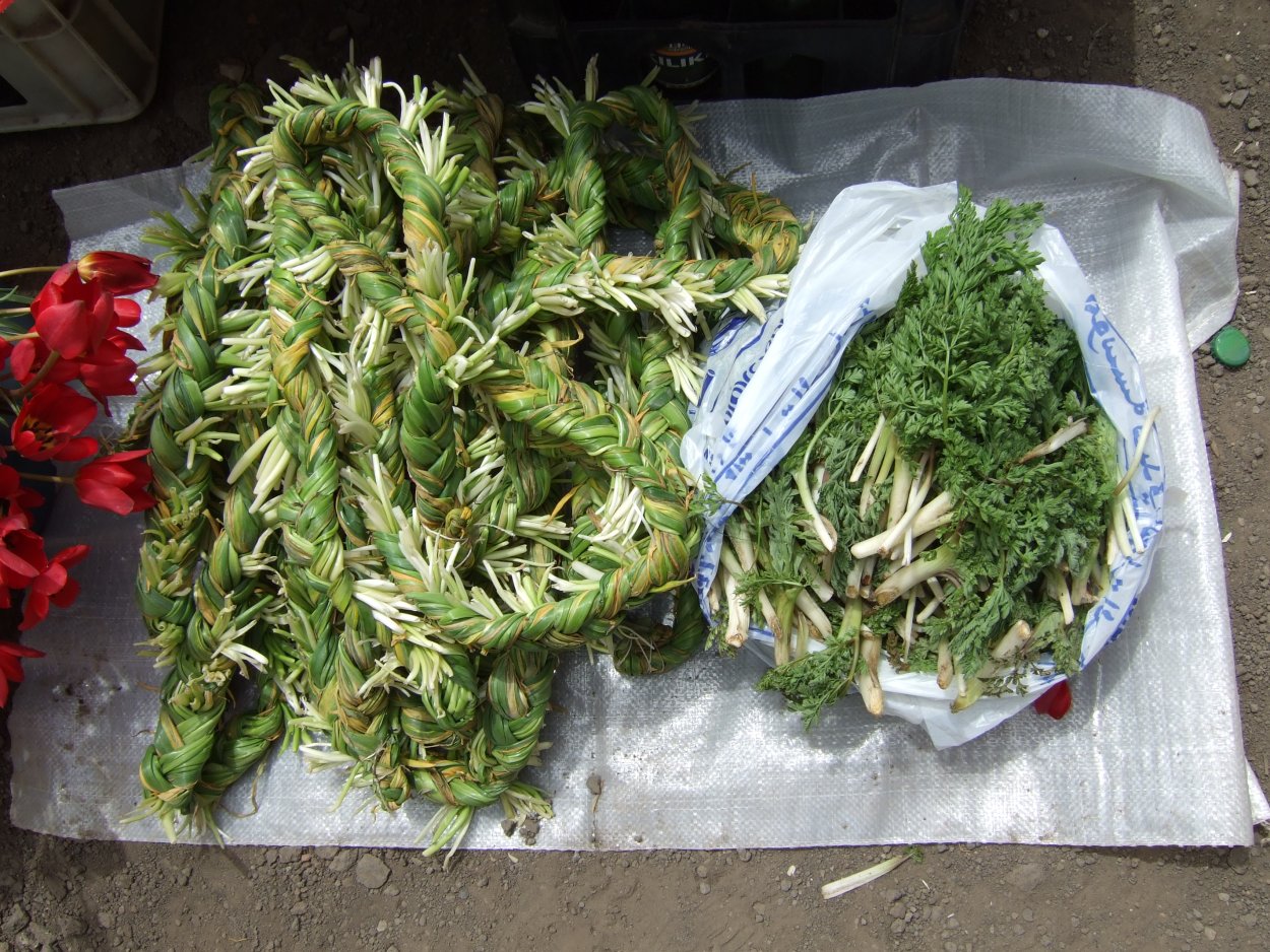 Банджар армянская трава