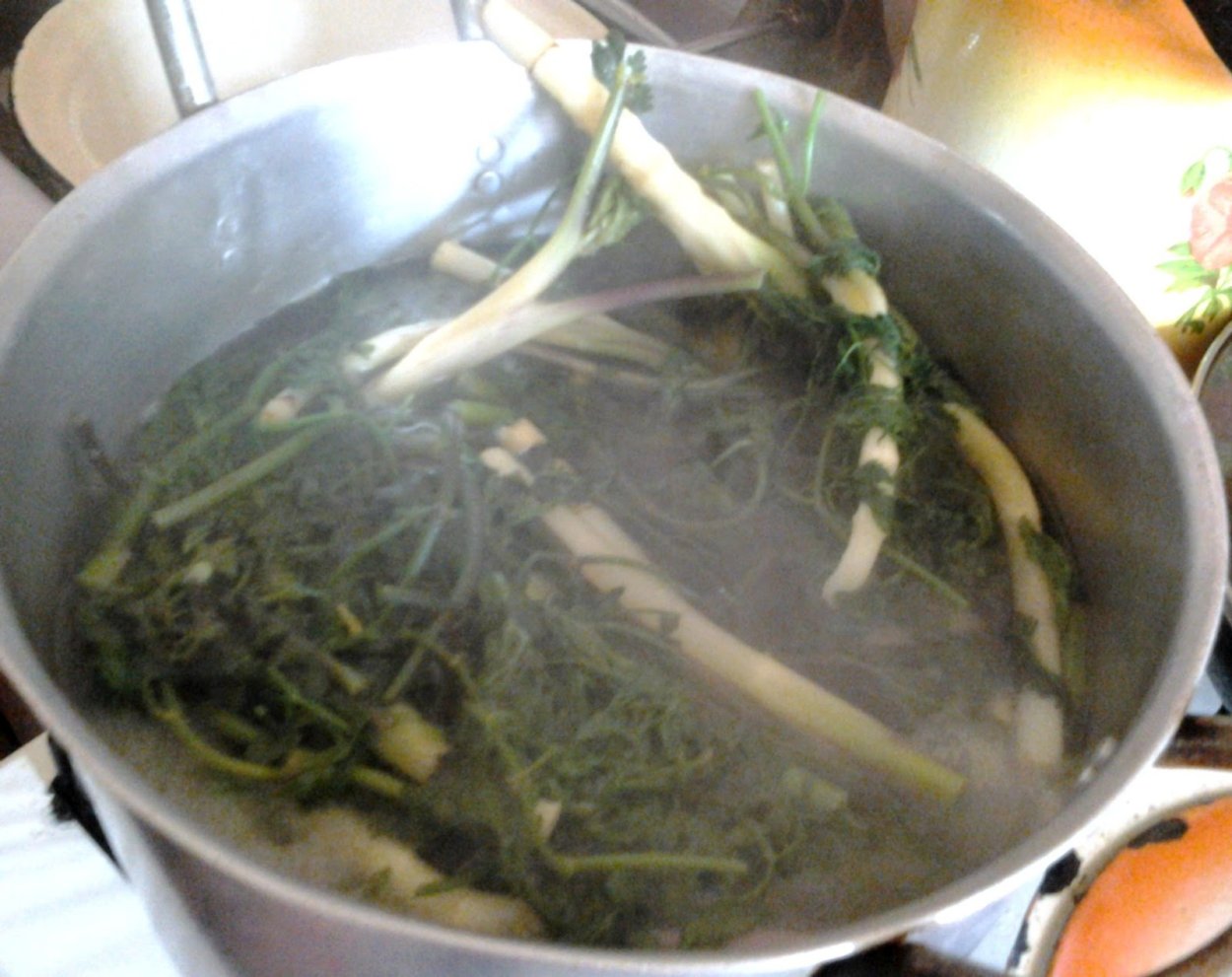 Шушан трава