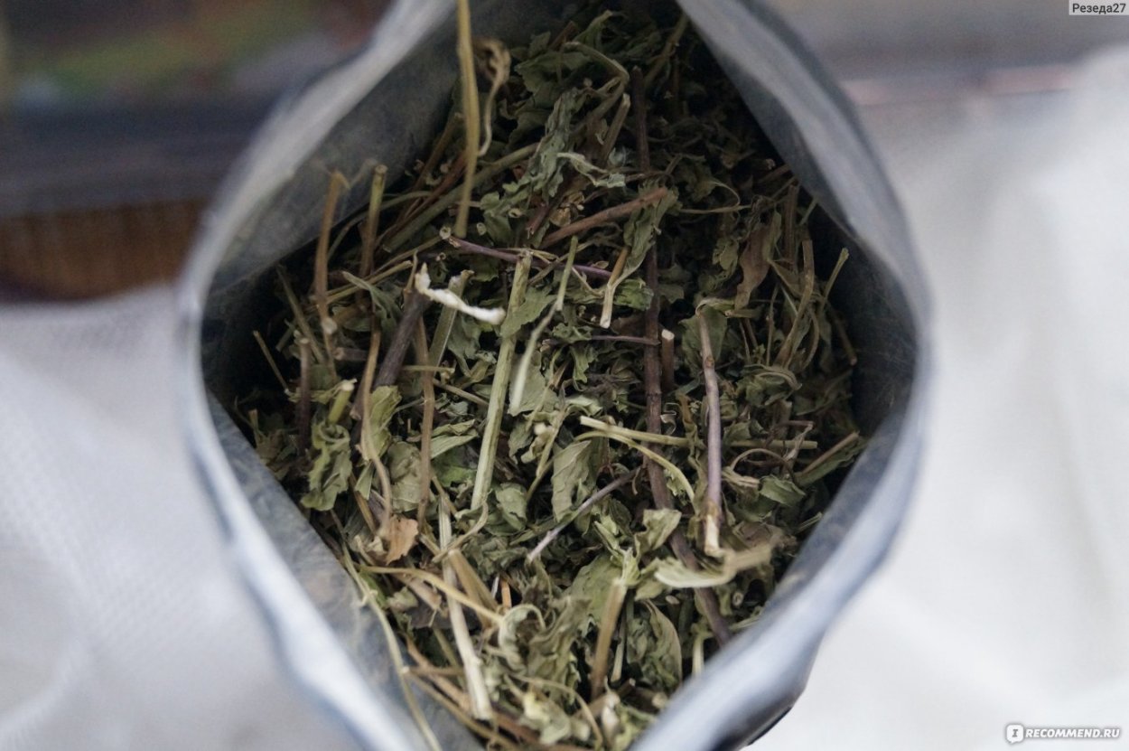 Укроп петрушка кинза