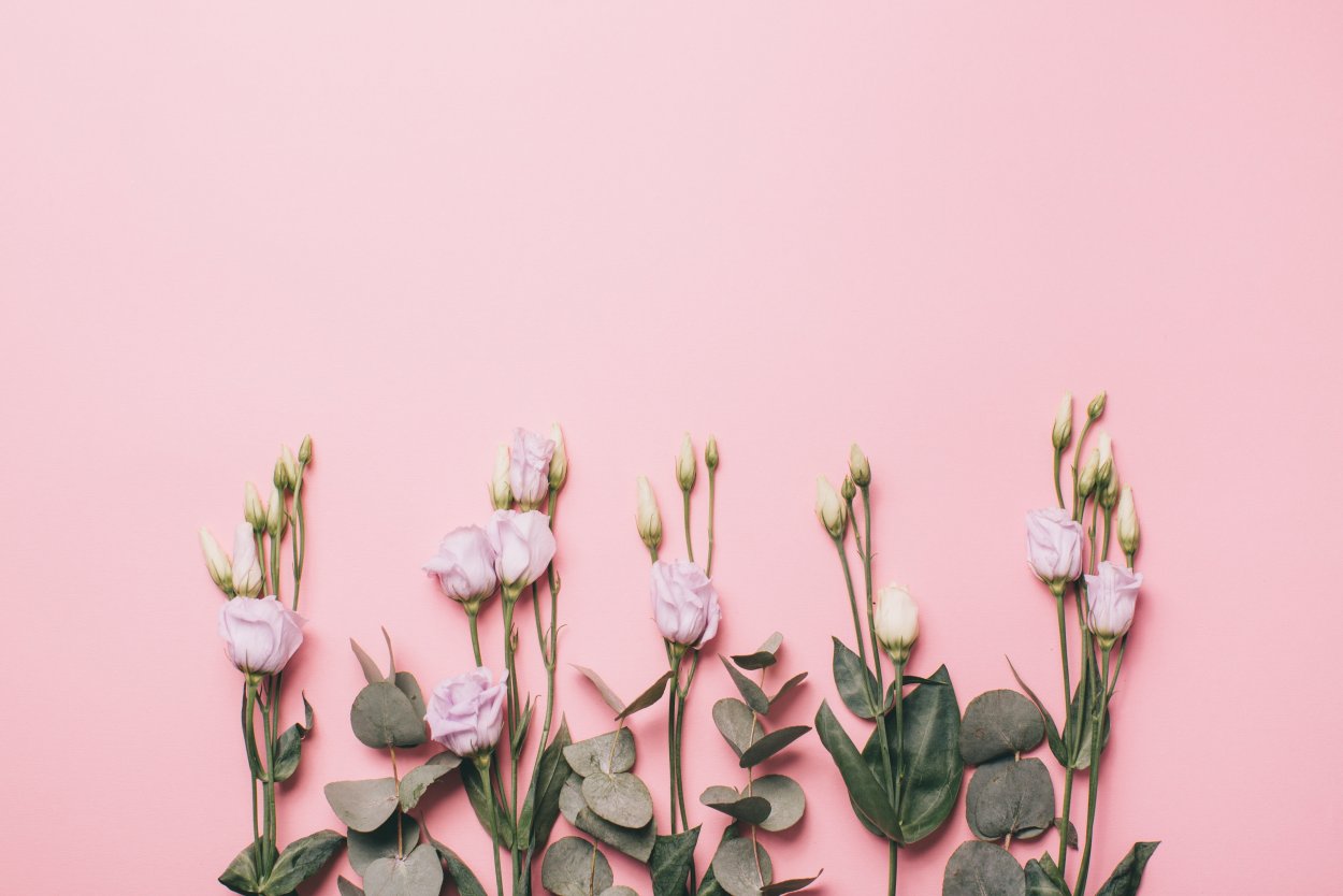 Старинные Ботанические иллюстрации