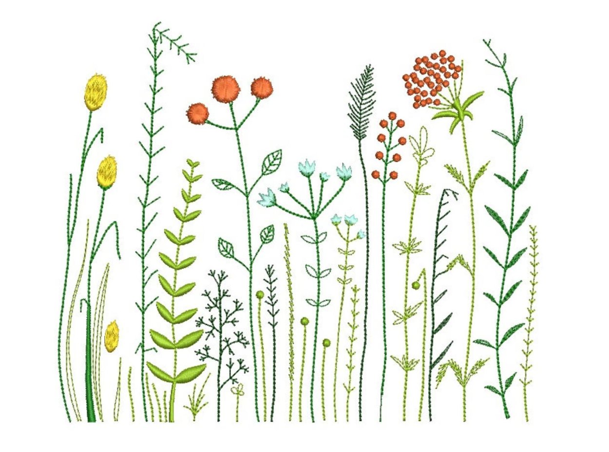 Кавказские пряные травы