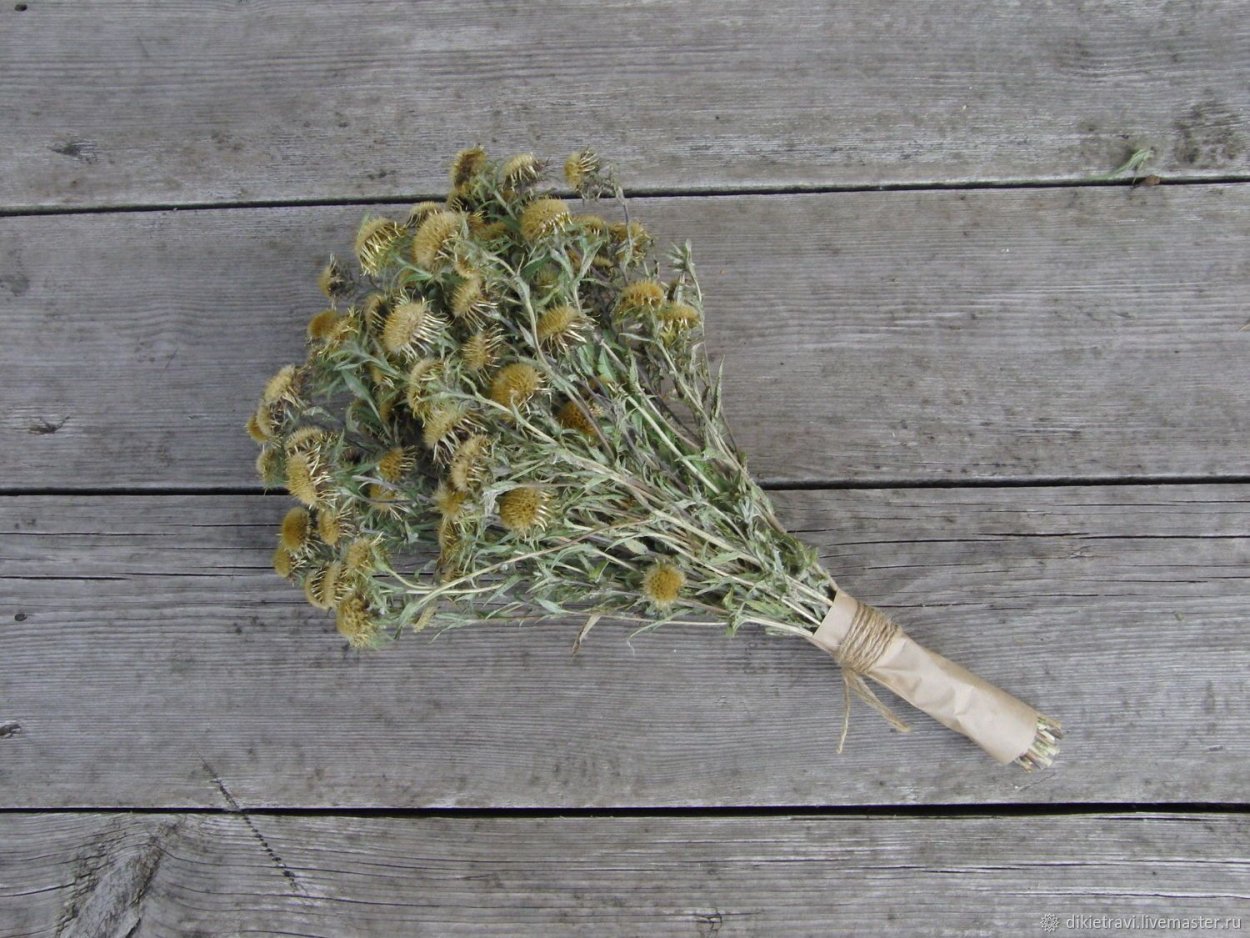 Переполох трава