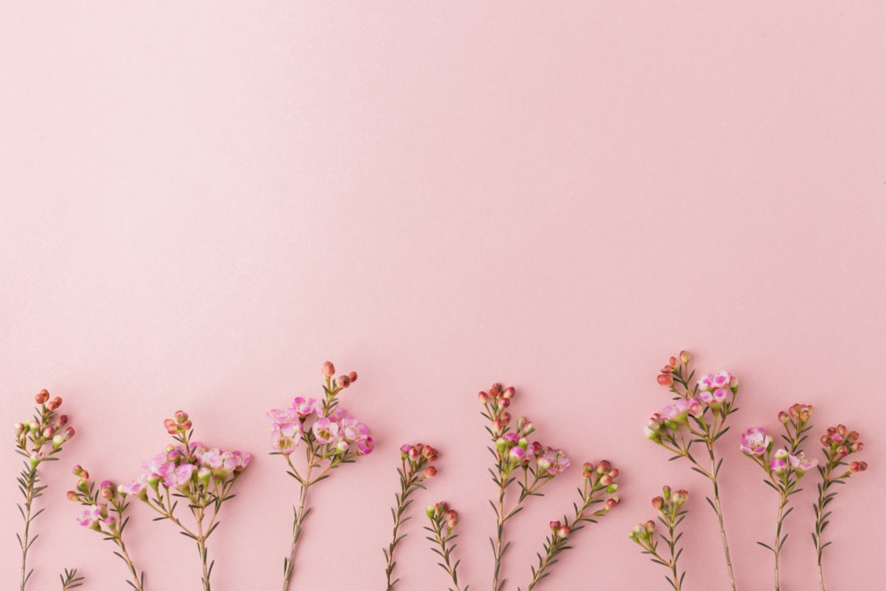 Листья Эстетика