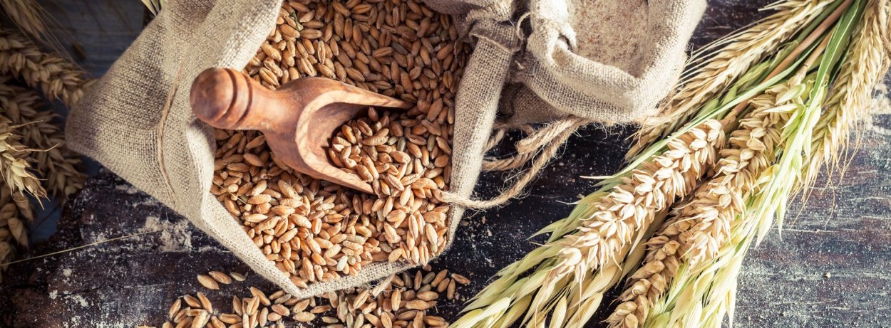 Зерно образа