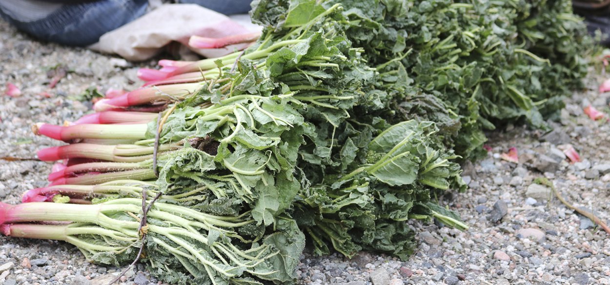 Травы названия